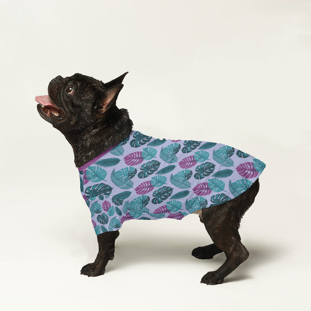 Aggy French Bulldog Warm Knitwear for Training Sessions-fadou