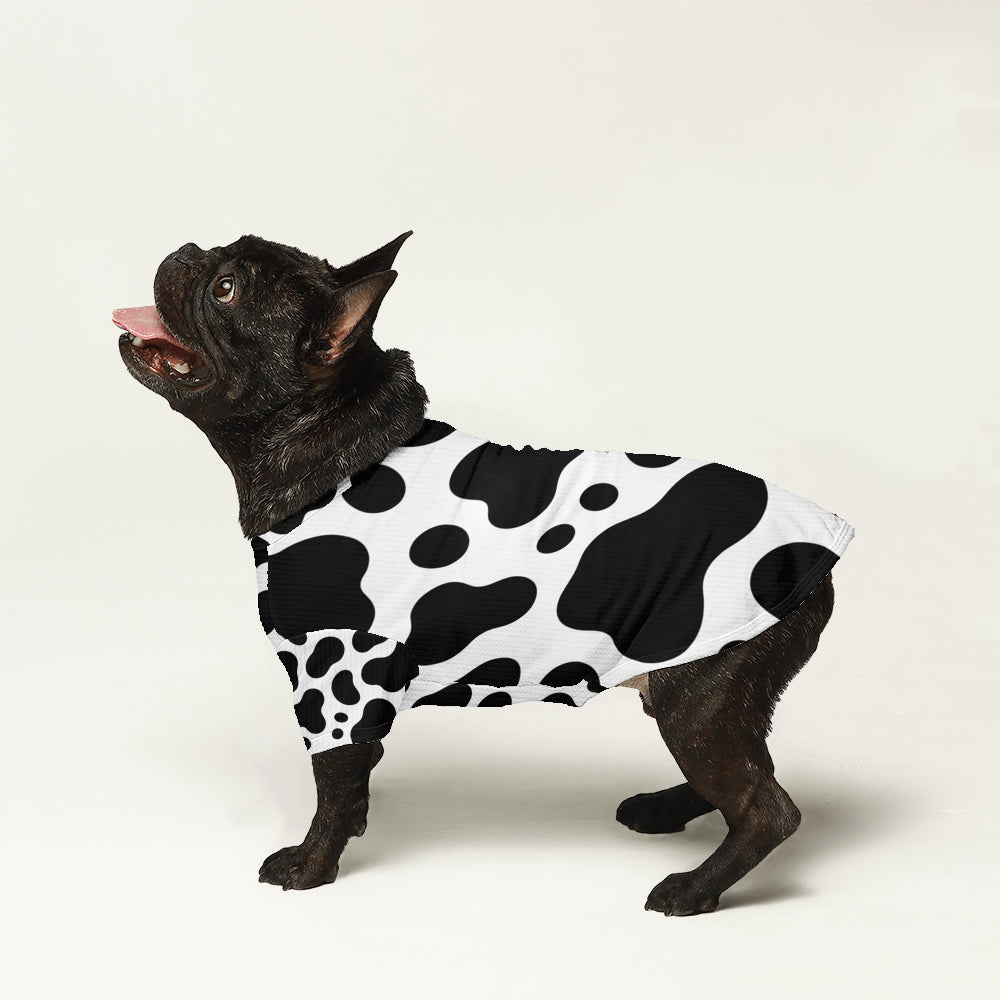 Bowen French Bulldog Knit Sweater for Training Sessions-fadou
