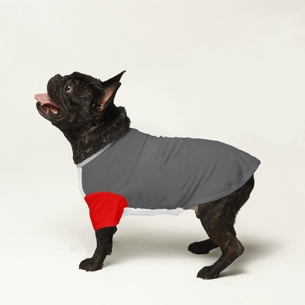 Louie French Bulldog Warm Knitwear for Short-Nosed Dogs-fadou