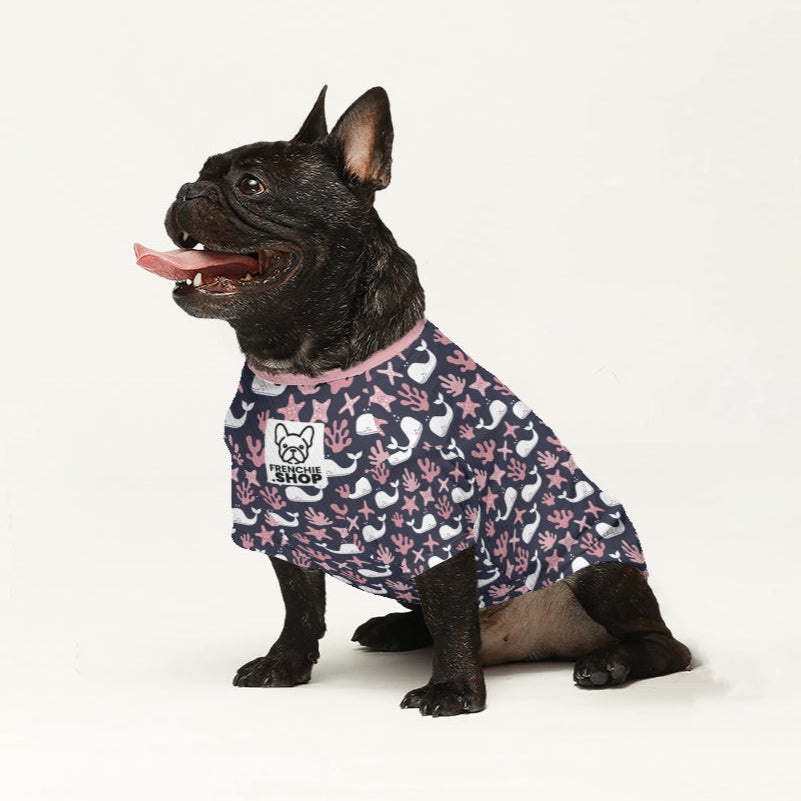 Covi French Bulldog Warm Knitwear for Training Sessions-fadou