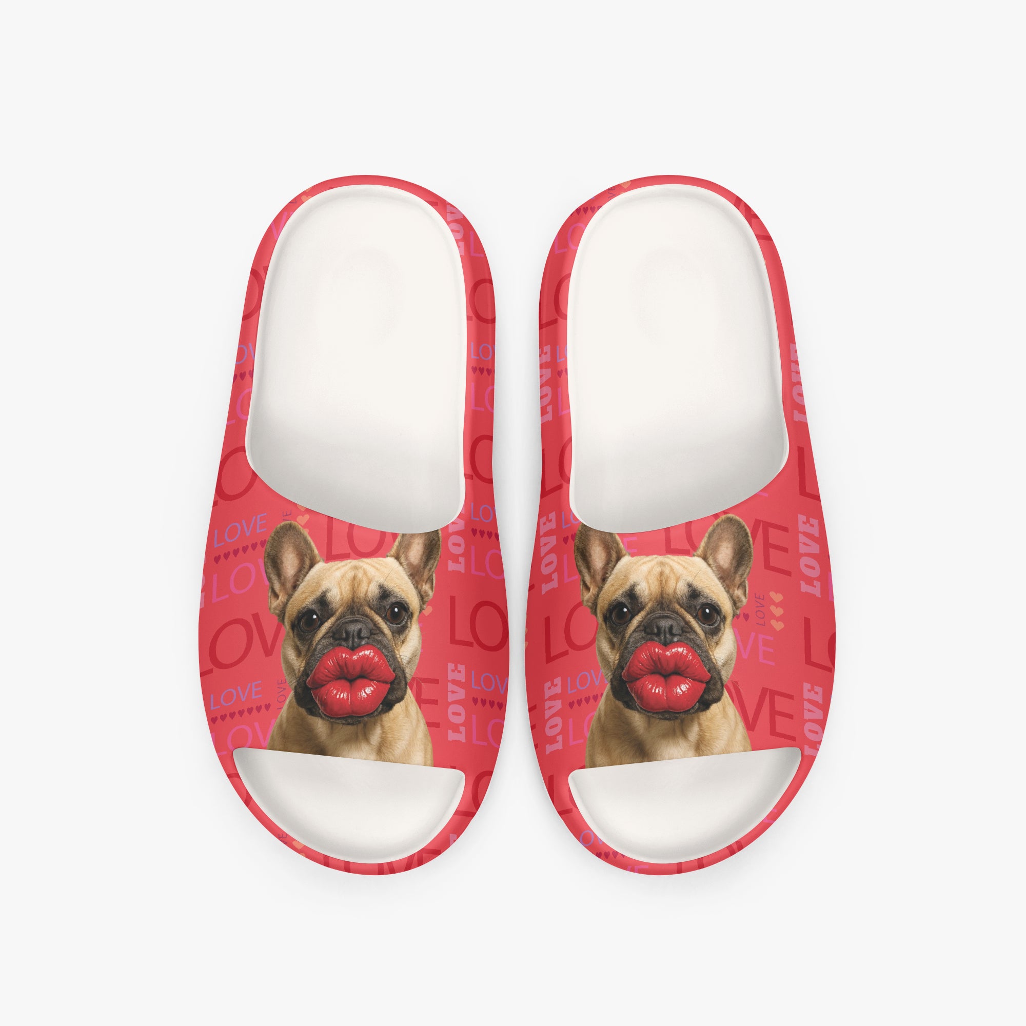 Pippa French Bulldog Summer Slides for Frenchie Enthusiasts-fadou