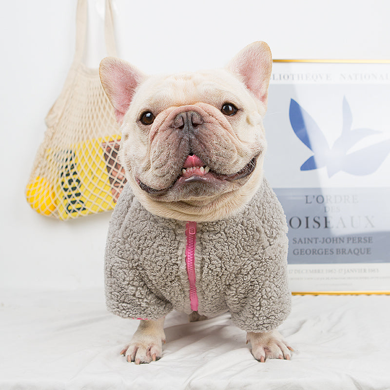French Bulldog Winter Dog Accessory for Short-Nosed Dogs-fadou