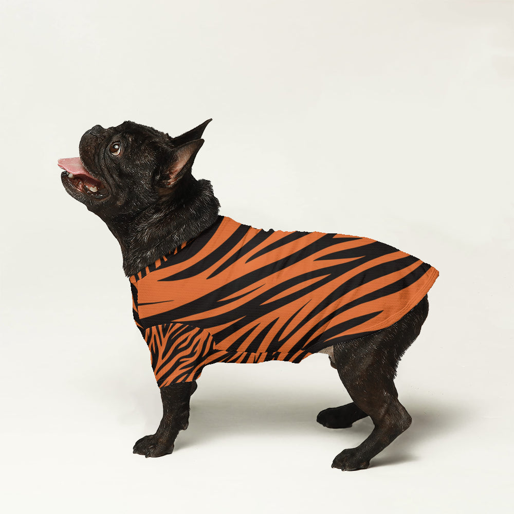 Axel - Wool Sweater for Brachycephalic Dogs for French Bulldogs-fadou