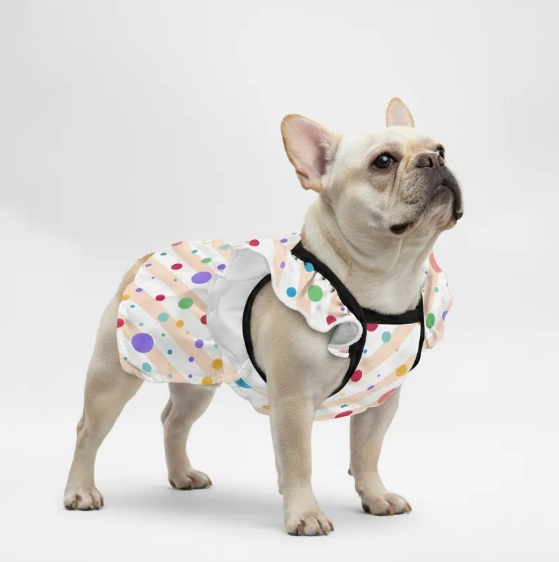 French Bulldog Clothes