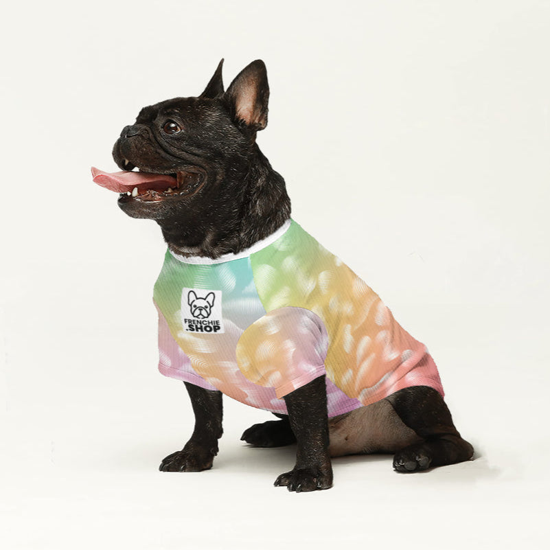 Elsie French Bulldog Knit Sweater for Outdoor Adventures-fadou
