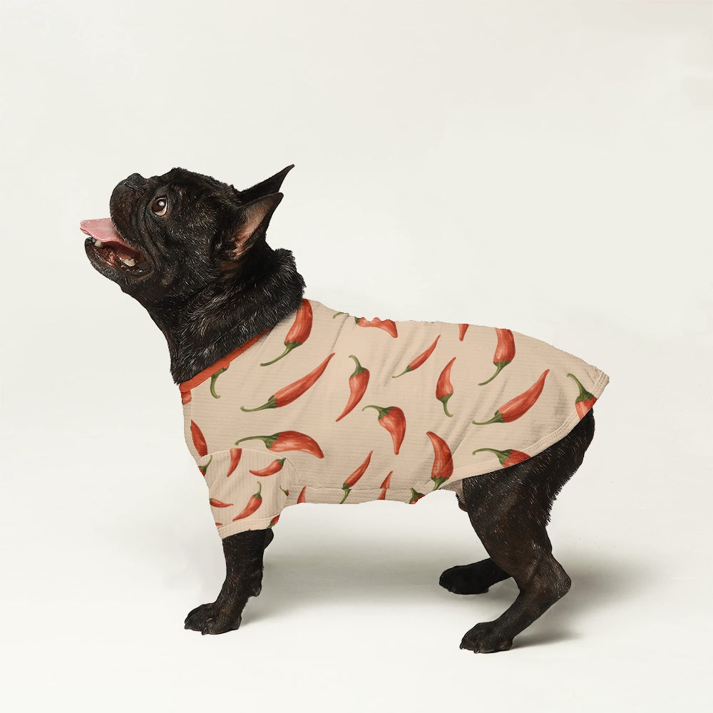 Gemma French Bulldog Warm Knitwear for Training Sessions-fadou