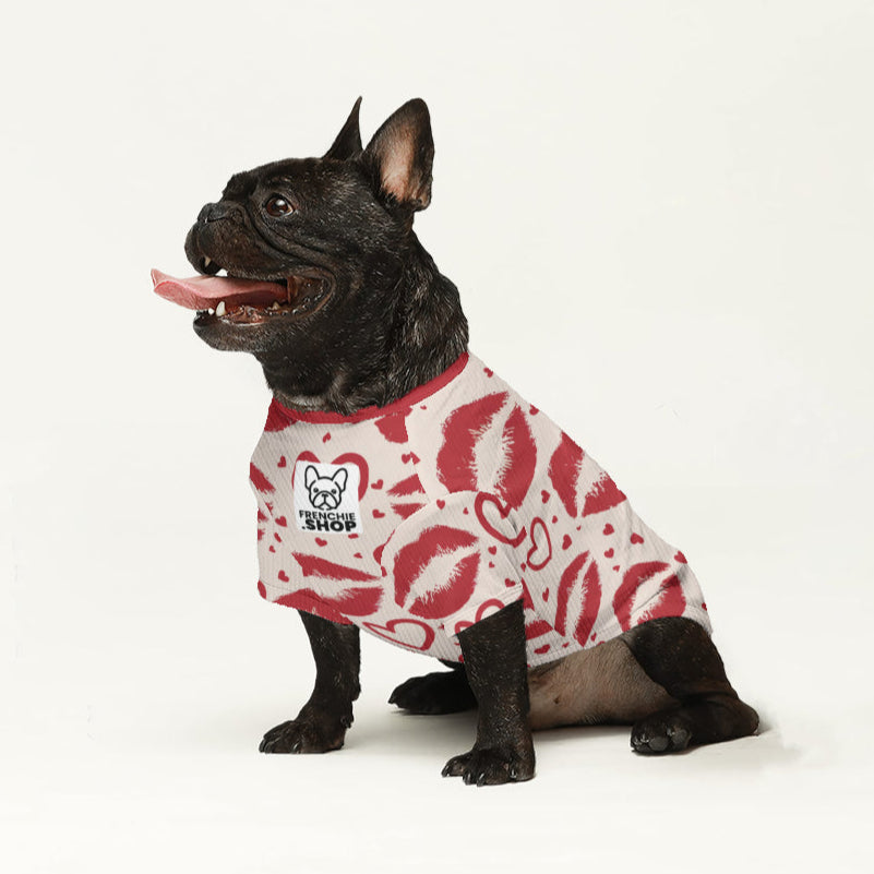 Boone French Bulldog Warm Knitwear for Short-Nosed Dogs-fadou