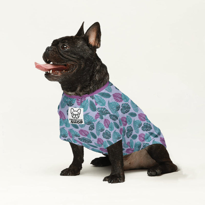 Aggy French Bulldog Warm Knitwear for Training Sessions-fadou