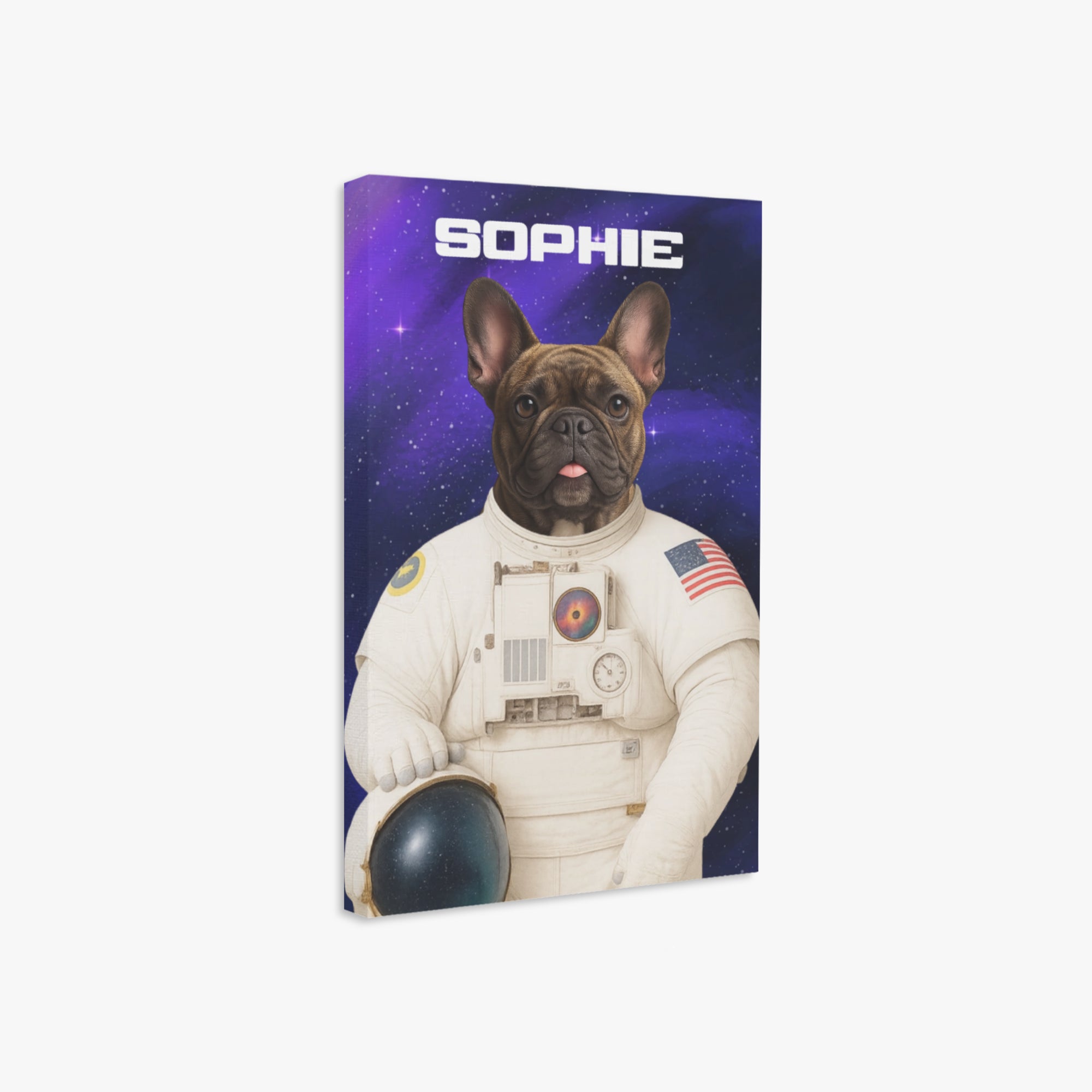 Frenchie Personalized Accessory for Frenchie Enthusiasts-fadou