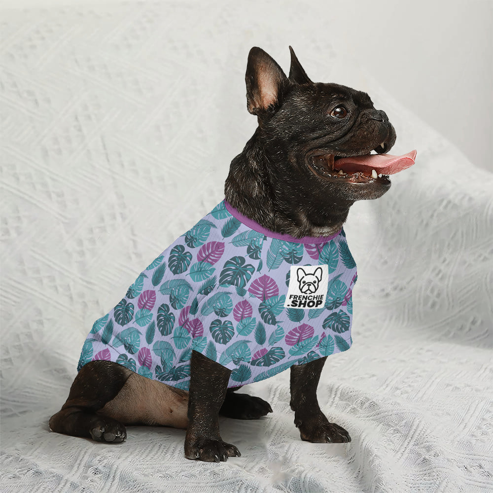Aggy French Bulldog Warm Knitwear for Training Sessions-fadou