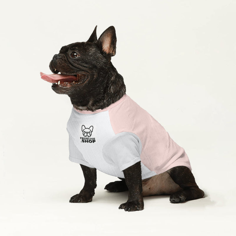 Rollo French Bulldog Knit Sweater for Training Sessions-fadou
