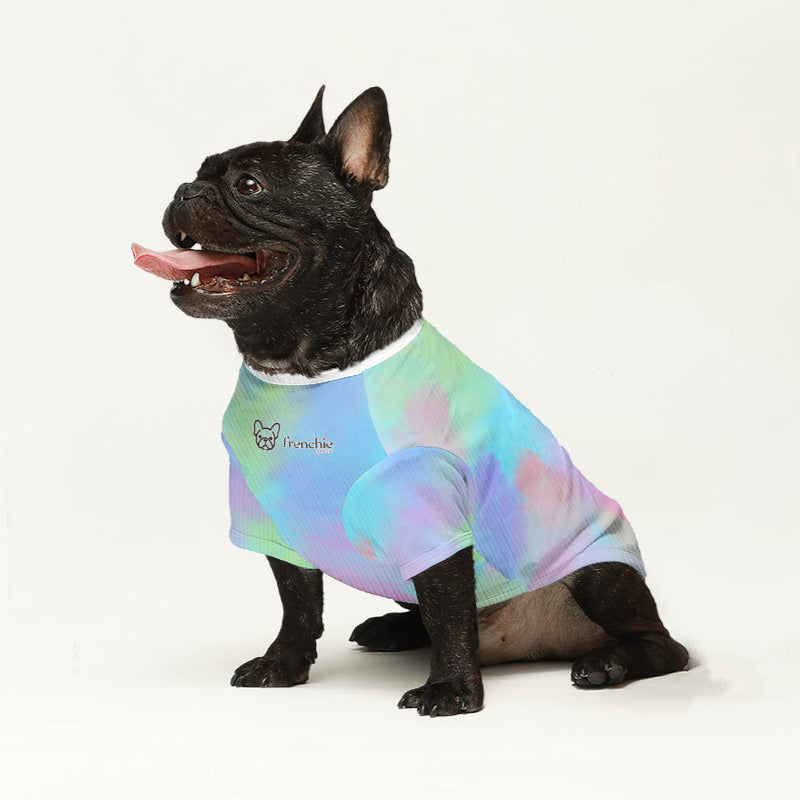 Cruz French Bulldog Knit Sweater for Outdoor Adventures-fadou