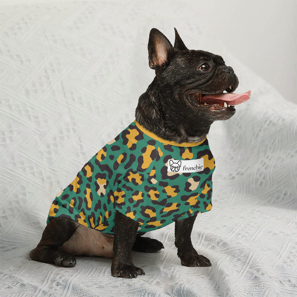 Ezra - Wool Sweater for Brachycephalic Dogs for French Bulldogs-fadou