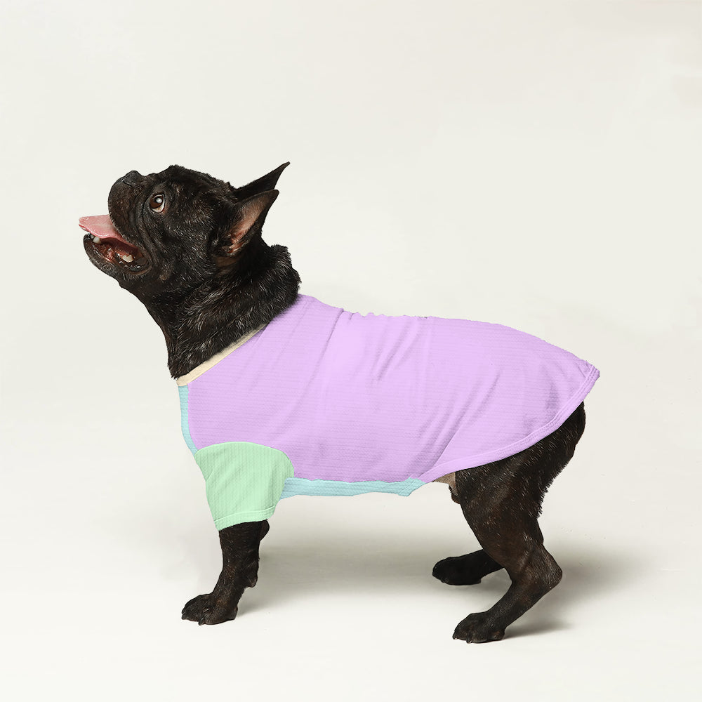 Lolli French Bulldog Dog Jumper for Brachycephalic Dogs-fadou