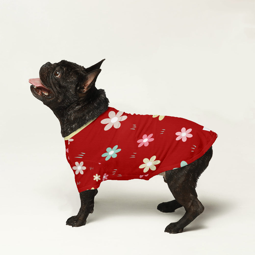 Como French Bulldog Knit Sweater for Outdoor Adventures-fadou