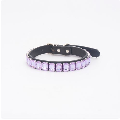 French Bulldog Luxury ID Collar for Brachycephalic Dogs-fadou