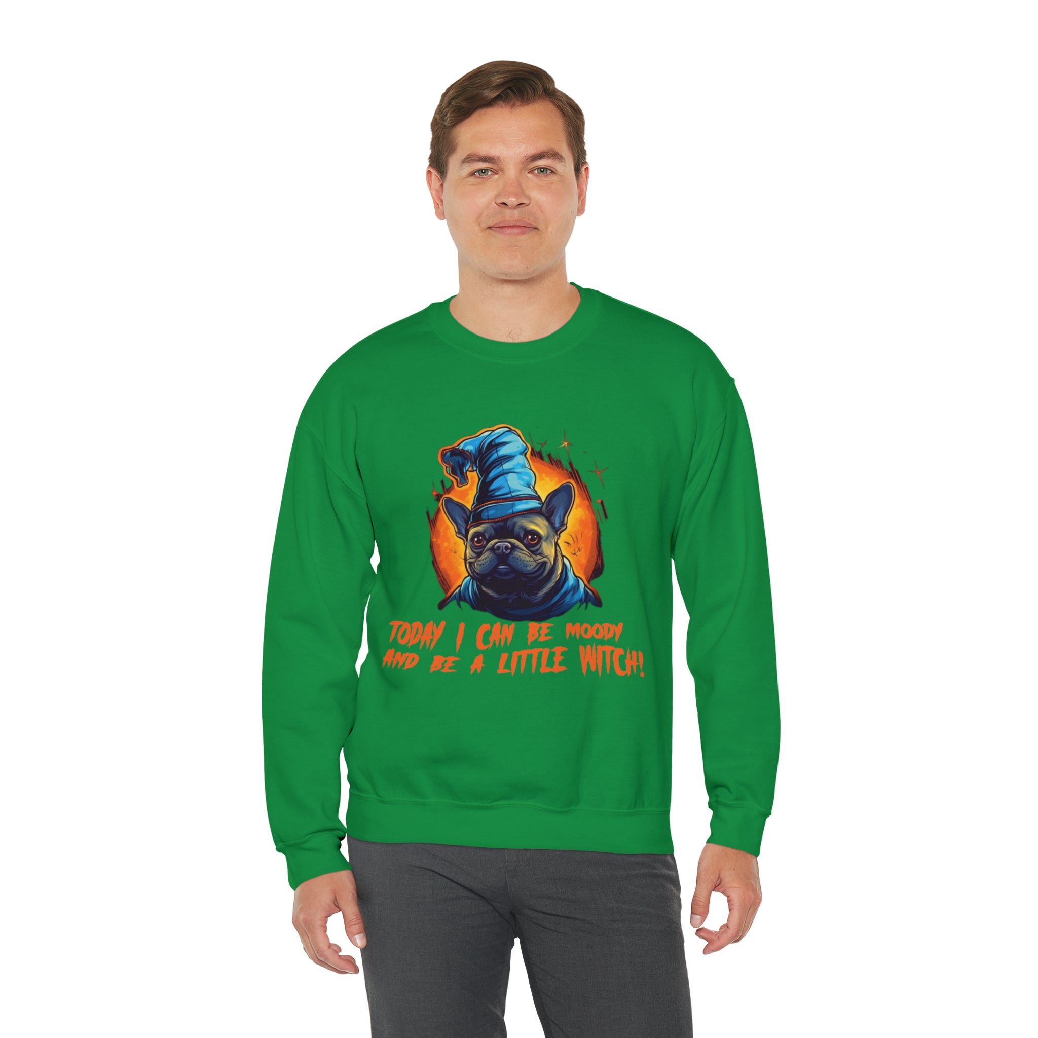 Little Halloween Pet Parent Pullover for Frenchie Enthusiasts-fadou