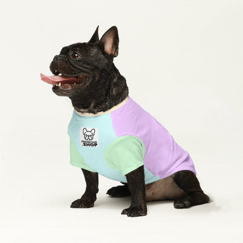 Lolli French Bulldog Dog Jumper for Brachycephalic Dogs-fadou
