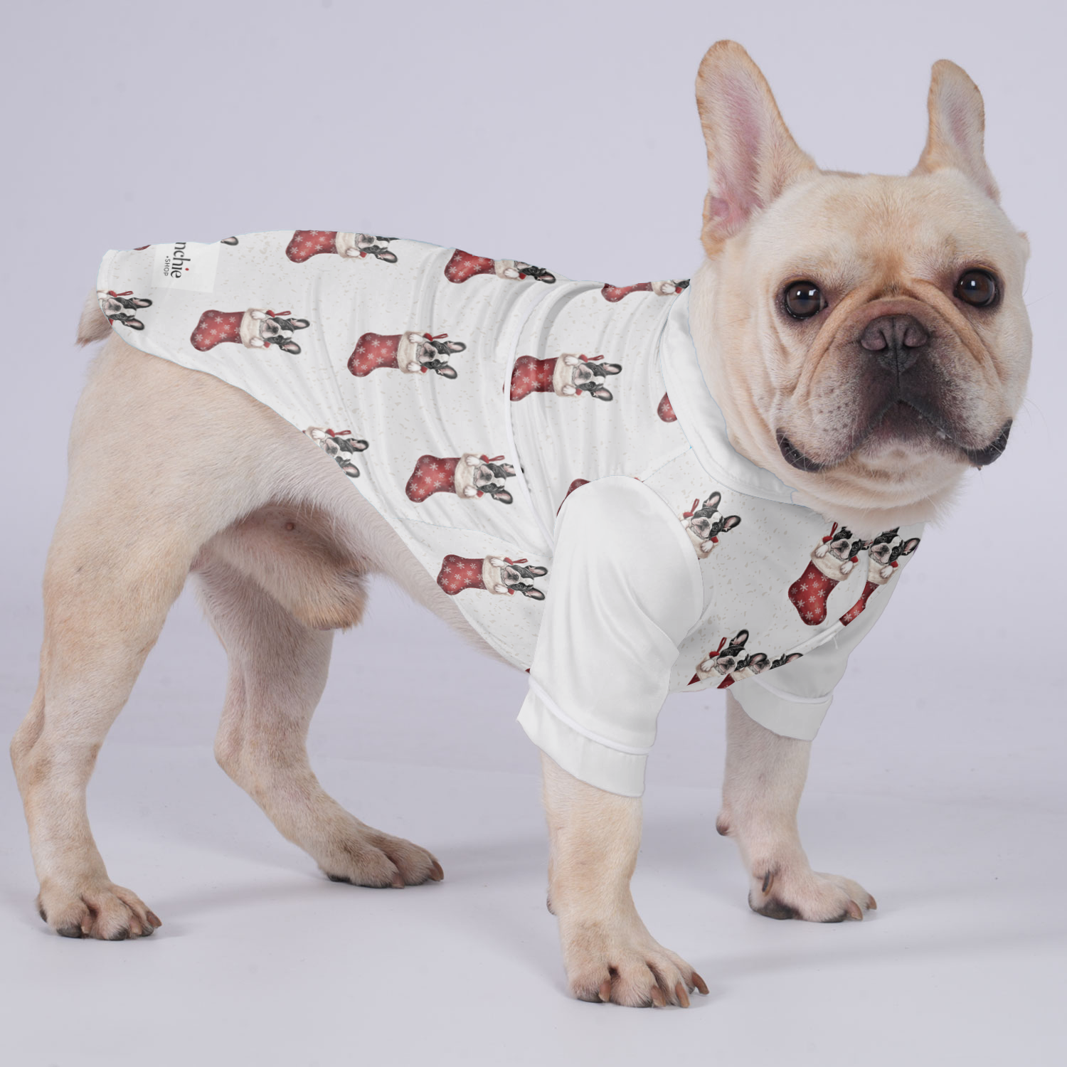 Rio French Bulldog Pet Sleepwear for Outdoor Adventures-fadou