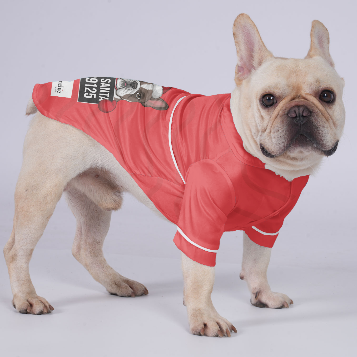 Bad French Bulldog Cozy Loungewear for Training Sessions-fadou