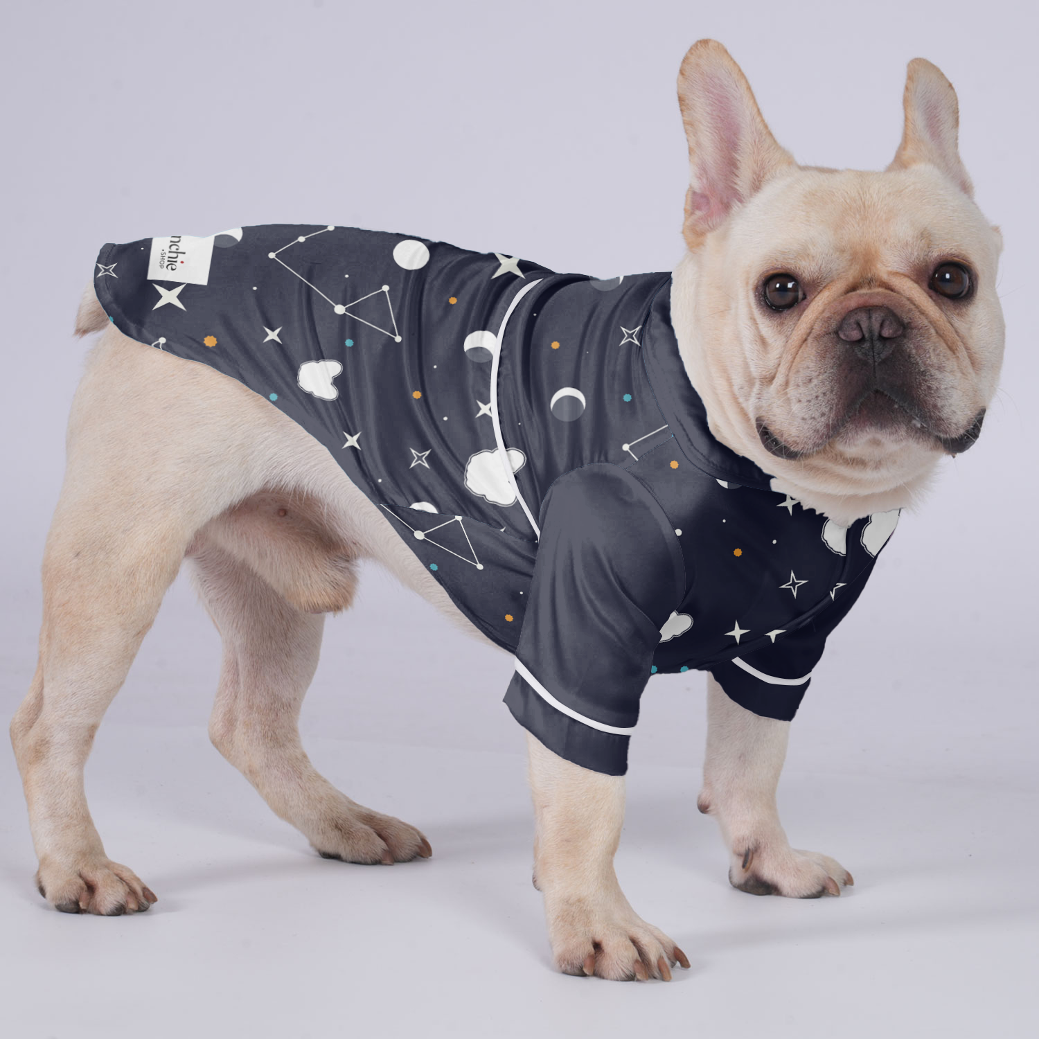 Dexter French Bulldog Night Outfit for Outdoor Adventures-fadou