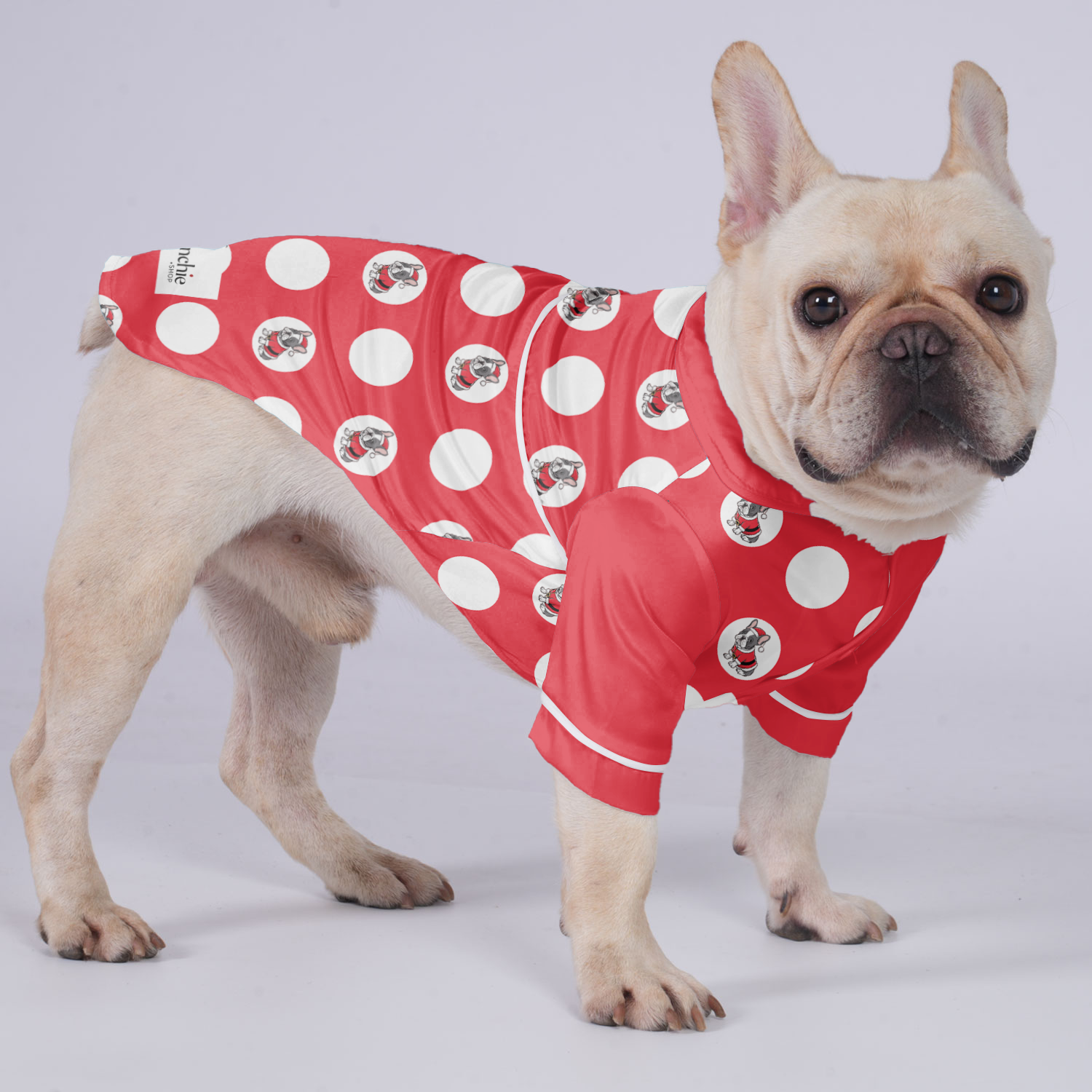 Sophie French Bulldog Night Outfit for Outdoor Adventures-fadou