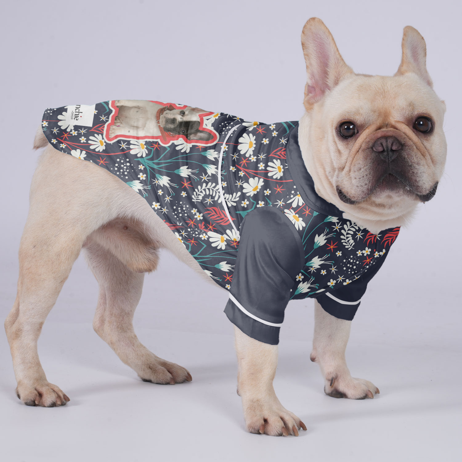 French Bulldog Custom Night Outfit for Short-Nosed Dogs-fadou
