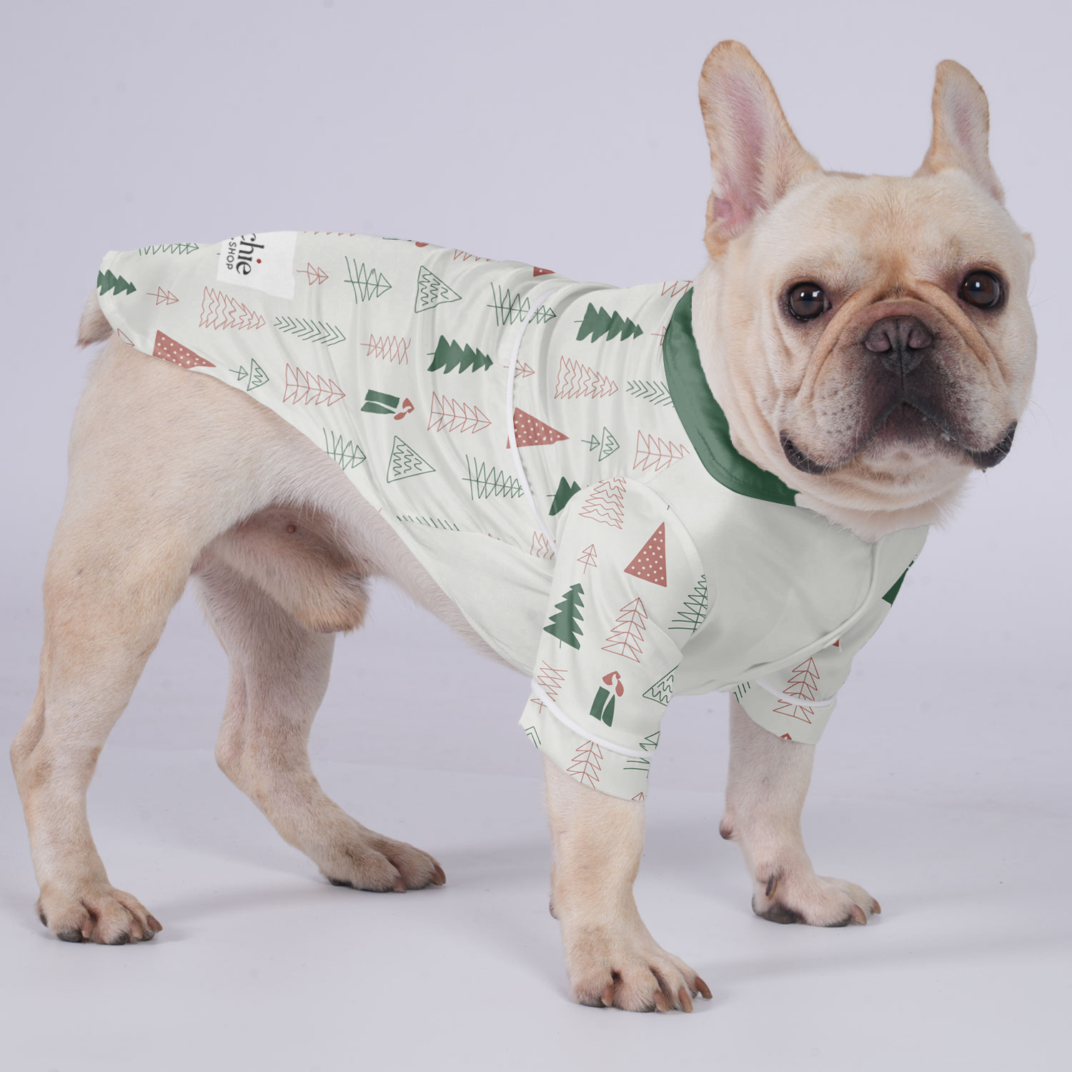 Nala French Bulldog Cozy Loungewear for Training Sessions-fadou