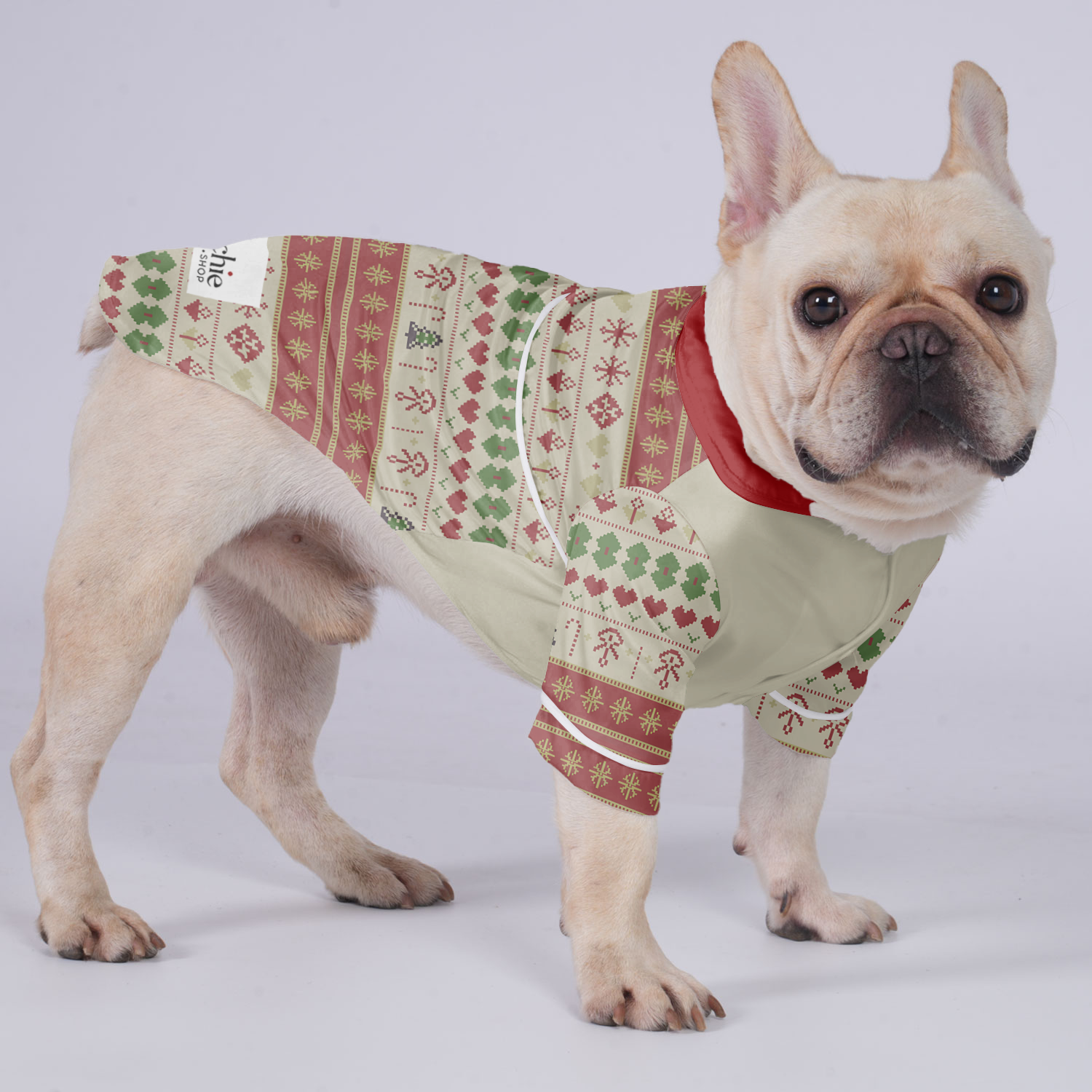 Gracie French Bulldog Night Outfit for Training Sessions-fadou