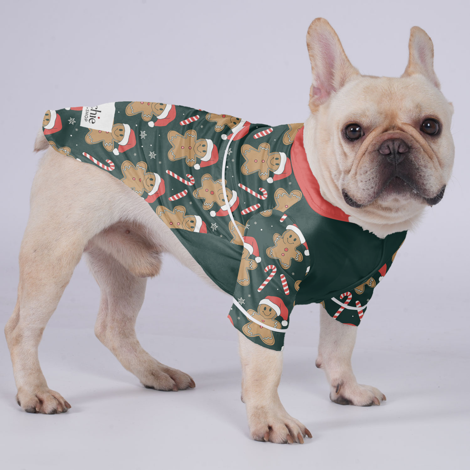 Mia French Bulldog Cozy Loungewear for Outdoor Adventures-fadou