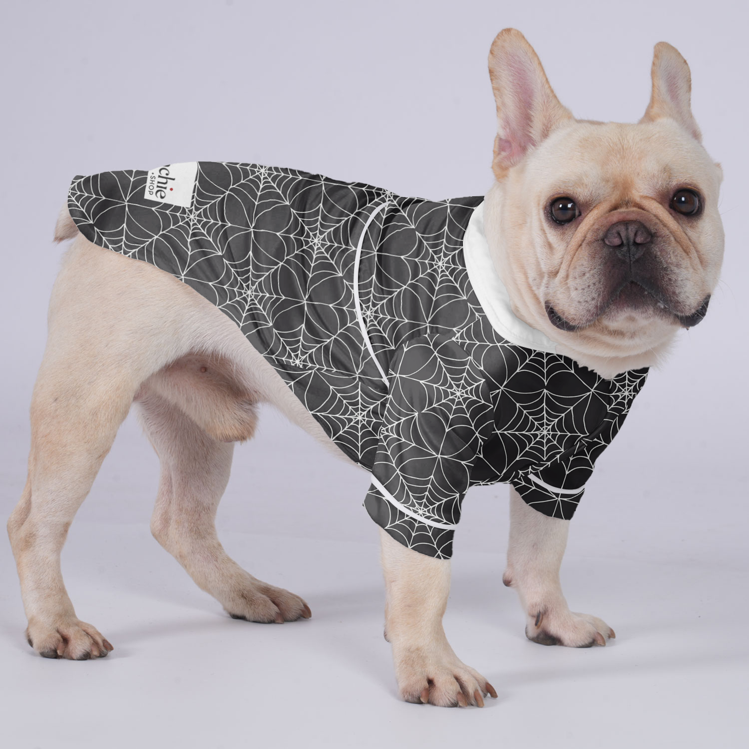 Daisy French Bulldog Night Outfit for Training Sessions-fadou