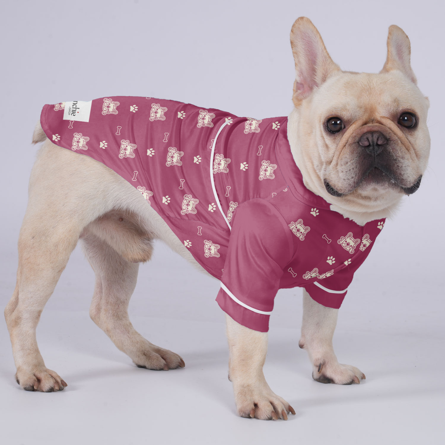 Monty French Bulldog Night Outfit for Training Sessions-fadou
