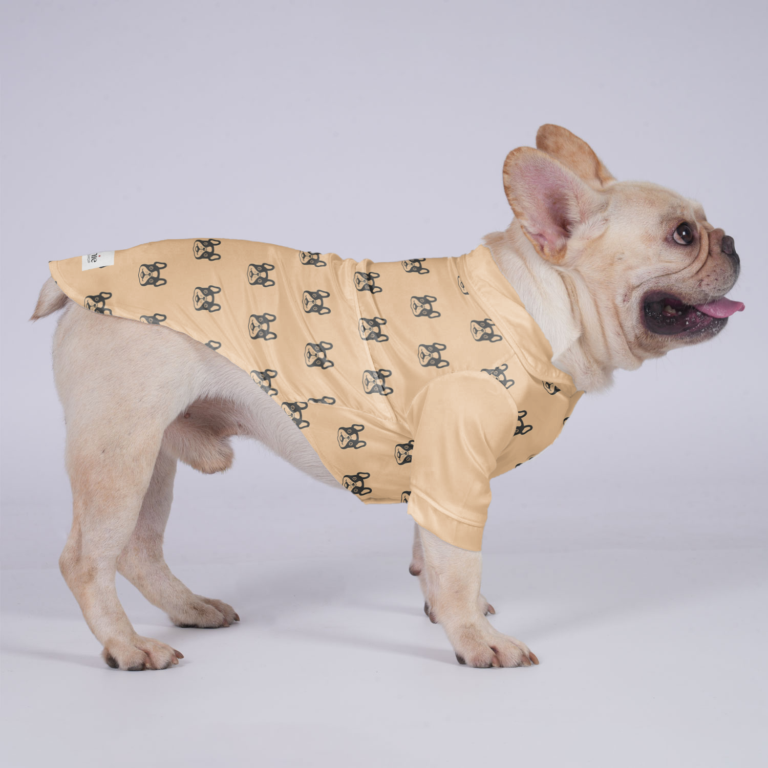 Schweppes French Bulldog Dog Shirt for Brachycephalic Dogs-fadou