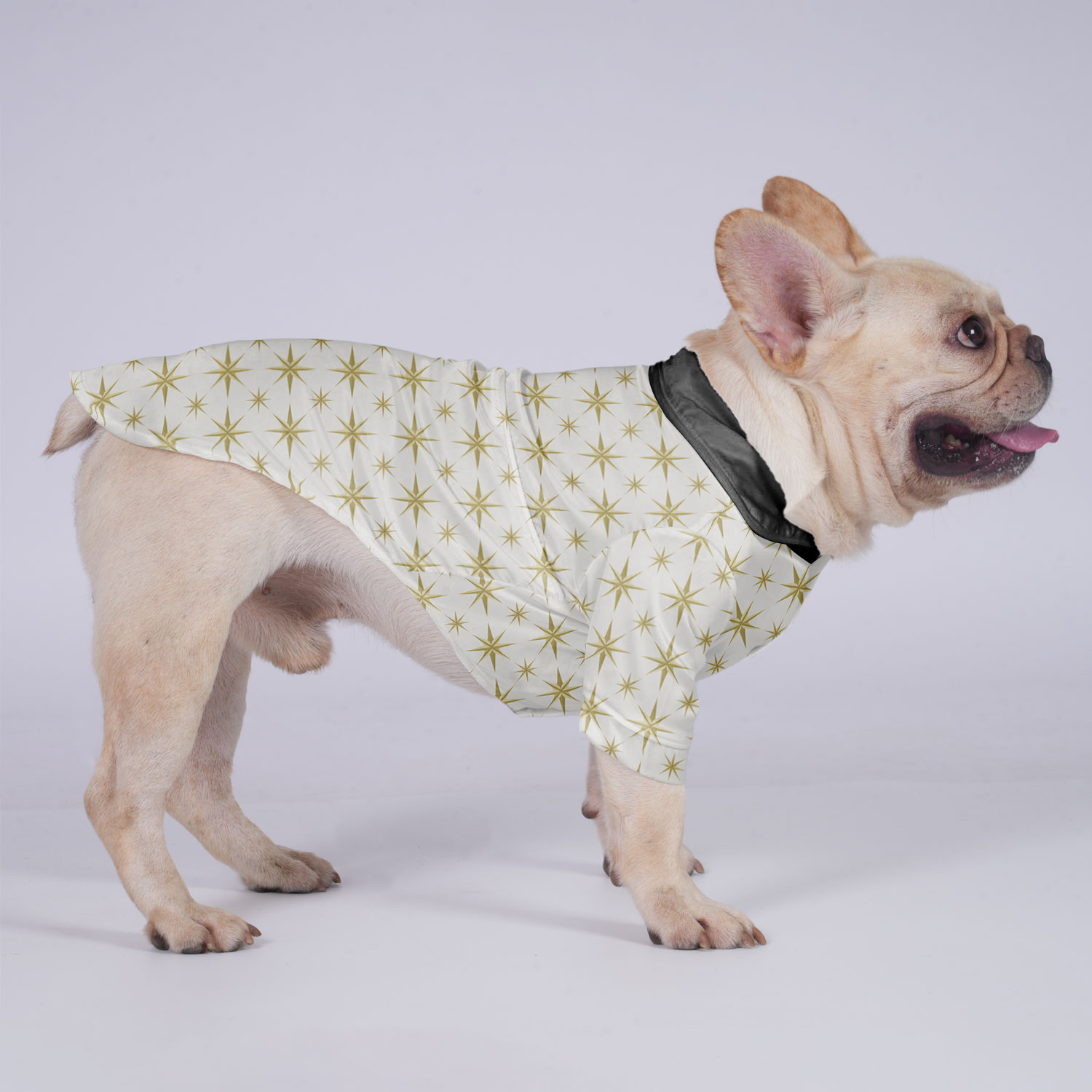 Melo - Hawaiian Shirt for Flat-Face Breeds for French Bulldogs-fadou