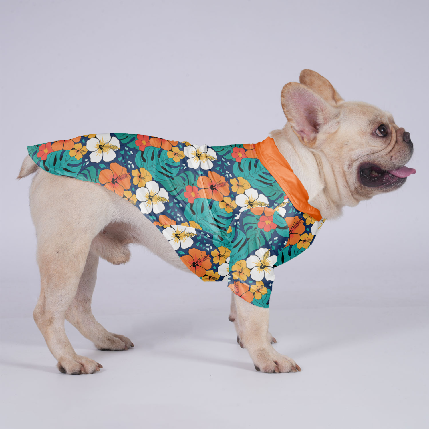 Gracie French Bulldog Cotton Tee for Outdoor Adventures-fadou