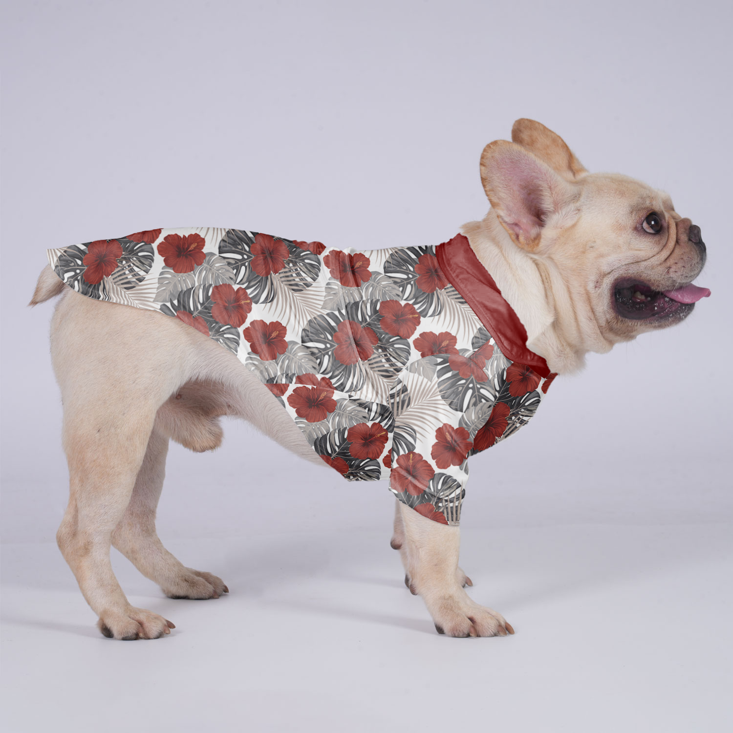 Ruby - Hawaiian Shirt for Short-Nosed Dogs for French Bulldogs-fadou