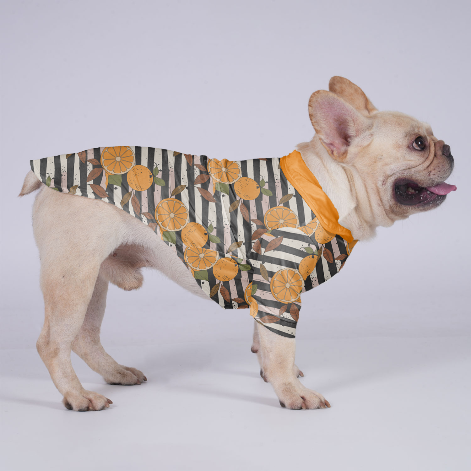 Bruno - Hawaiian Shirt for Outdoor Adventures for French Bulldogs-fadou
