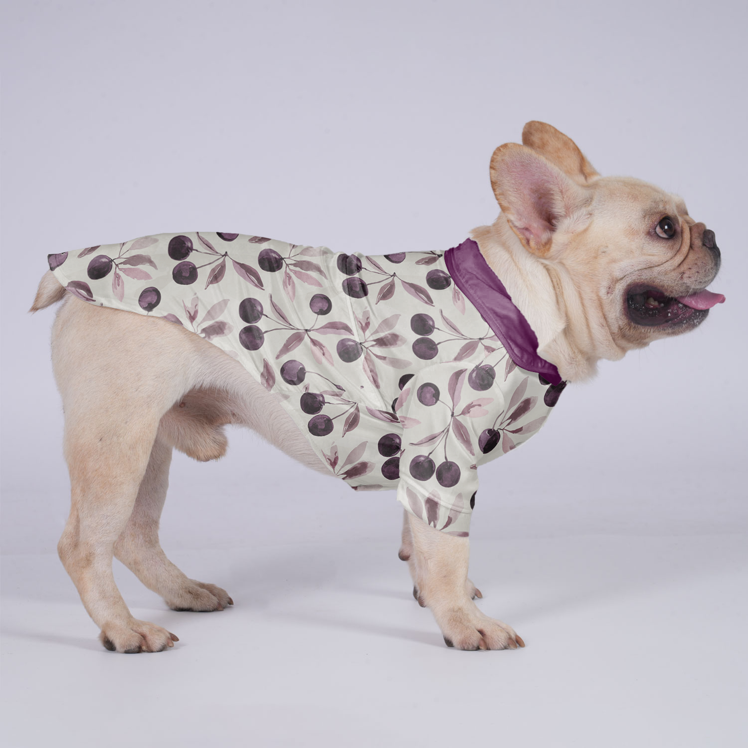 Louie - Hawaiian Shirt for Travel Comfort for French Bulldogs-fadou