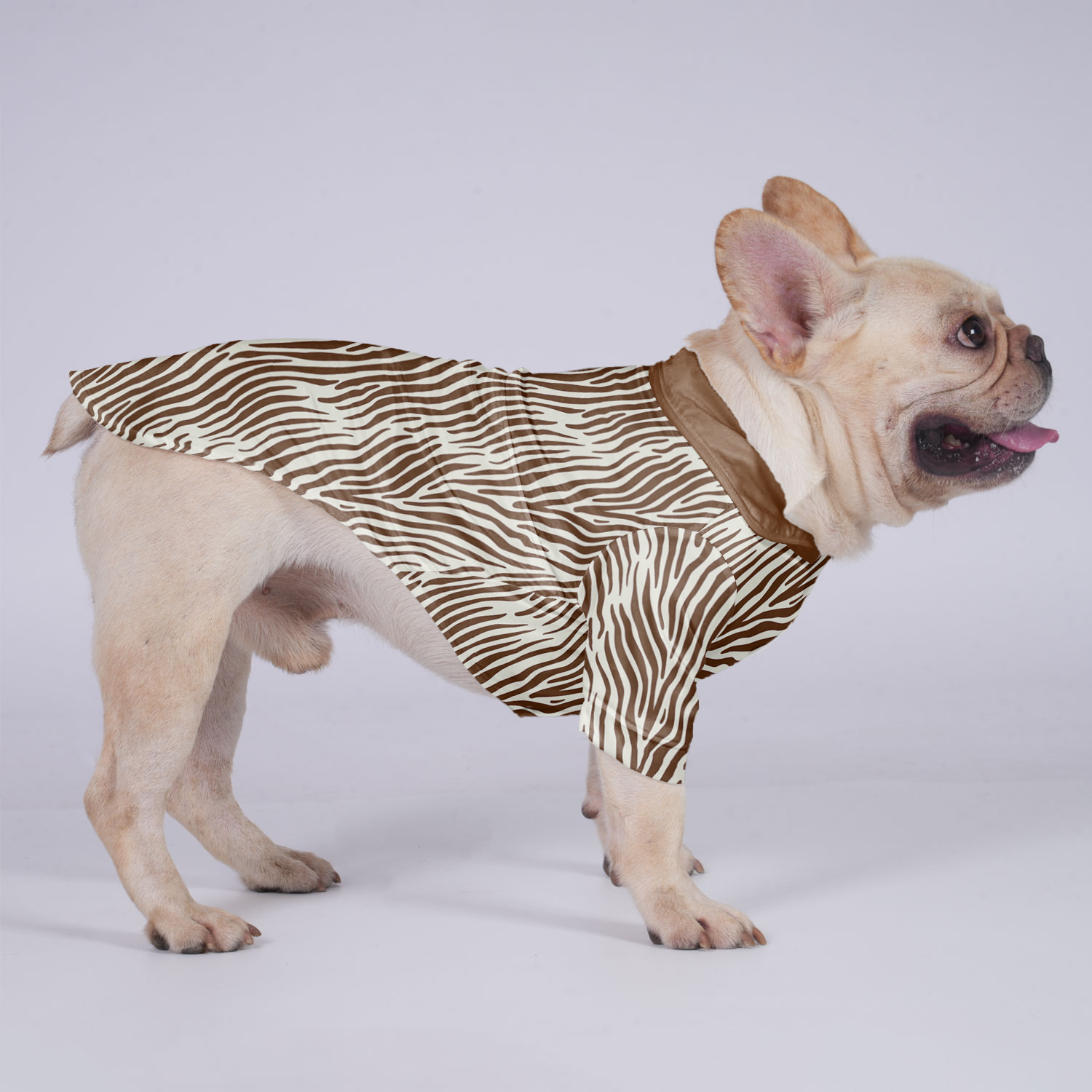 Nova - Hawaiian Shirt for Training Sessions for French Bulldogs-fadou
