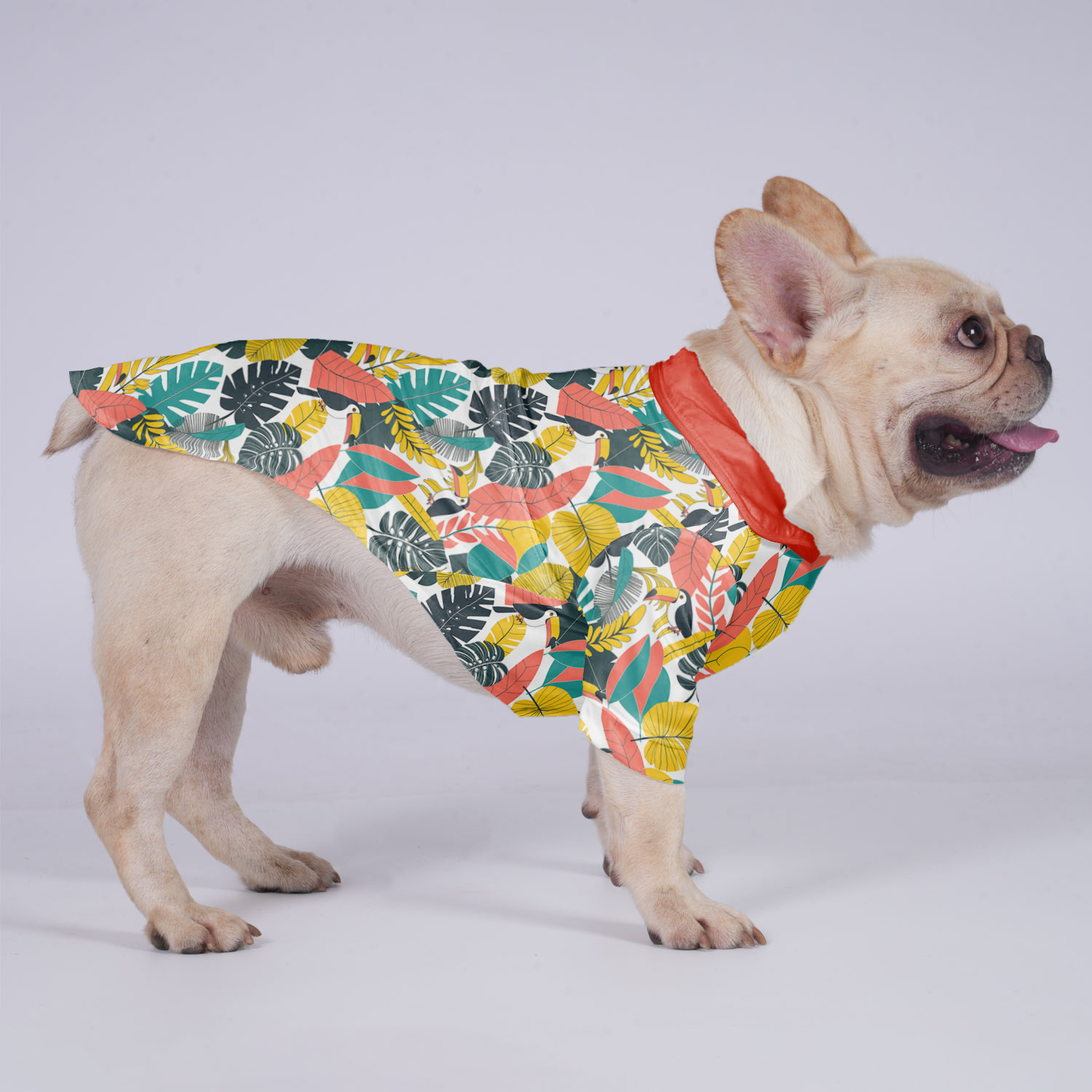 Koda - Hawaiian Shirt for Flat-Face Breeds for French Bulldogs-fadou