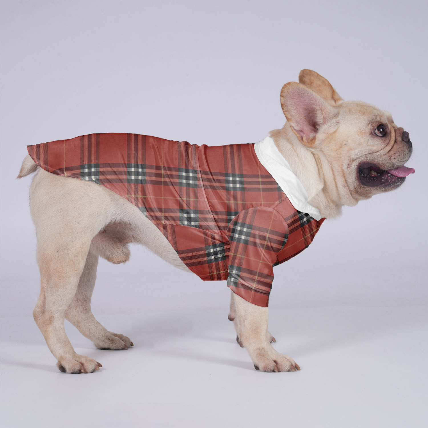 Bella - Hawaiian Shirt for French Bulldog Owners for Frenchies-fadou