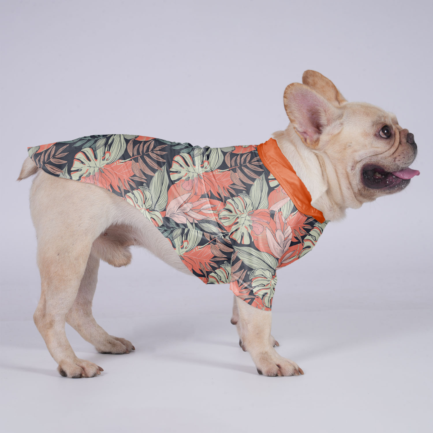 Apollo French Bulldog Dog Outfit for Brachycephalic Dogs-fadou