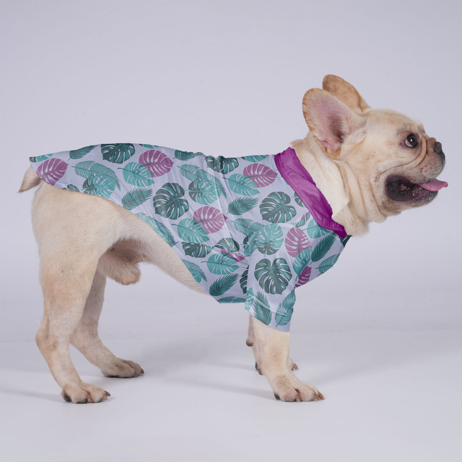 Beau - Hawaiian Shirt for Brachycephalic Dogs for French Bulldogs-fadou