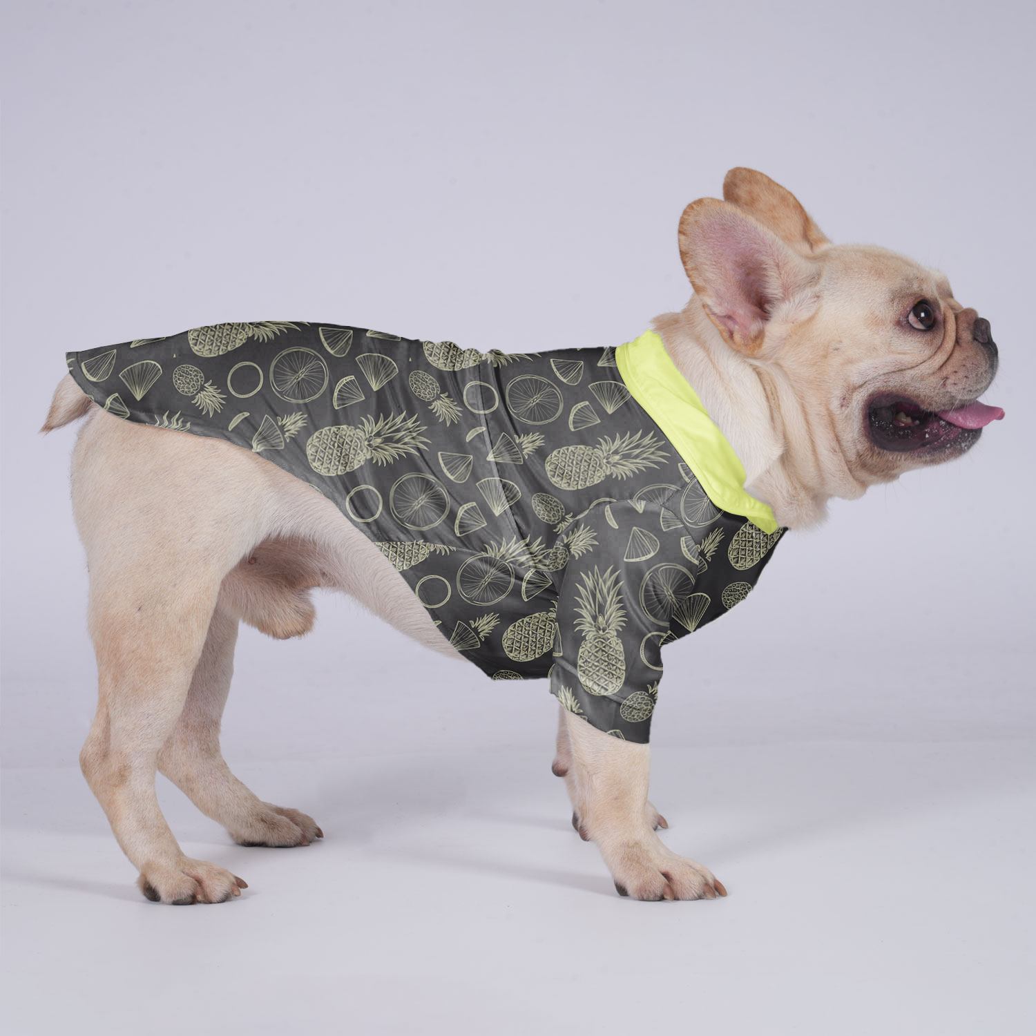 Moose French Bulldog Cotton Tee for Brachycephalic Dogs-fadou