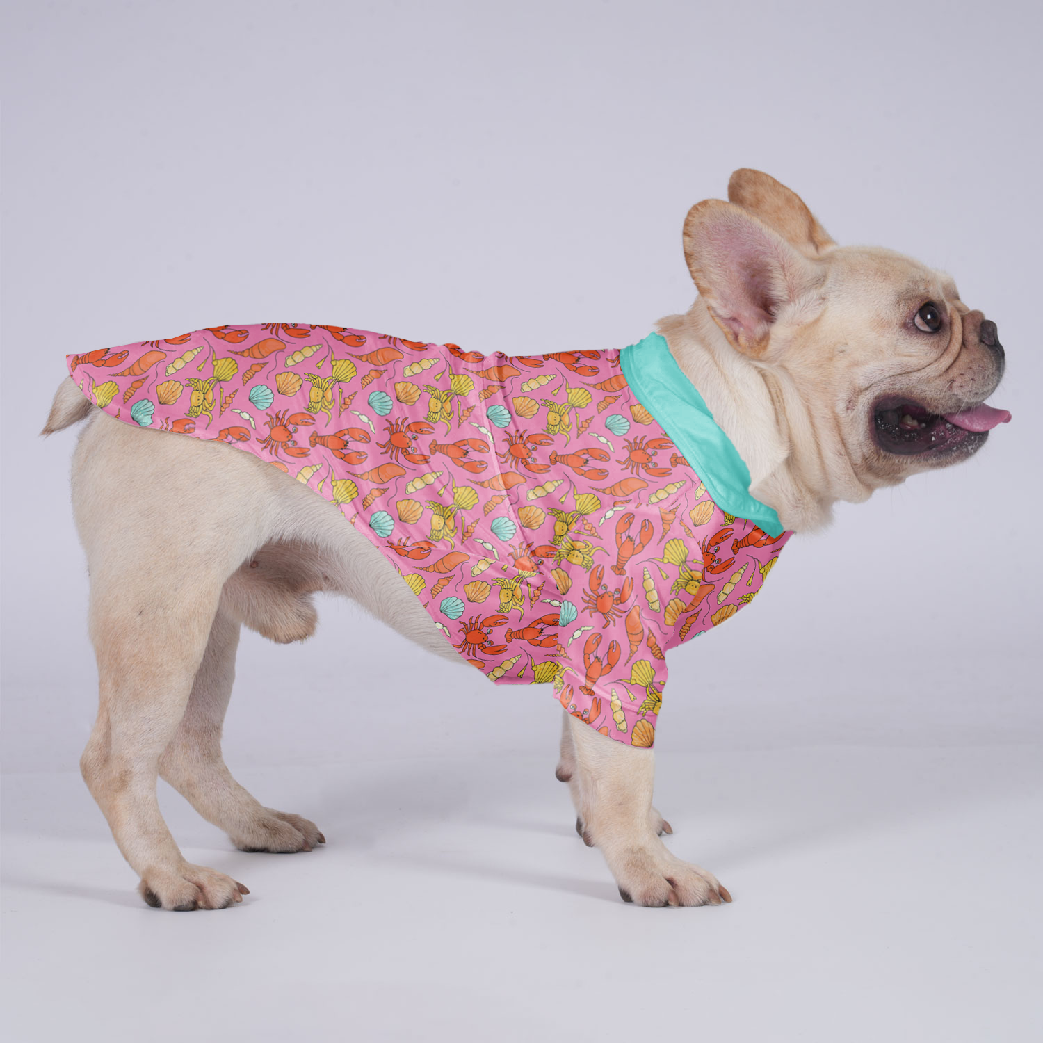 Frankie French Bulldog Dog Shirt for Brachycephalic Dogs-fadou