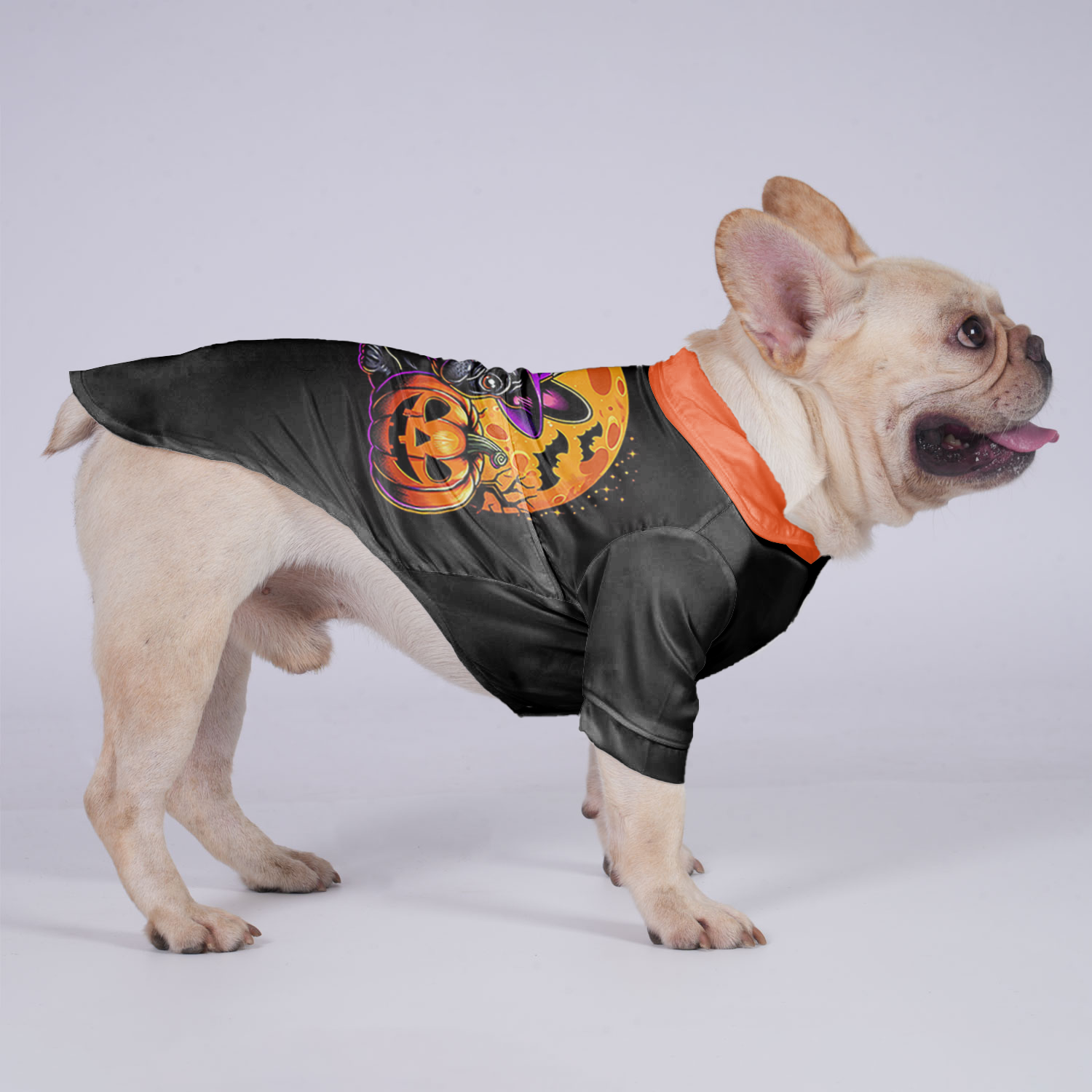 Charlie French Bulldog Dog Shirt for Outdoor Adventures-fadou