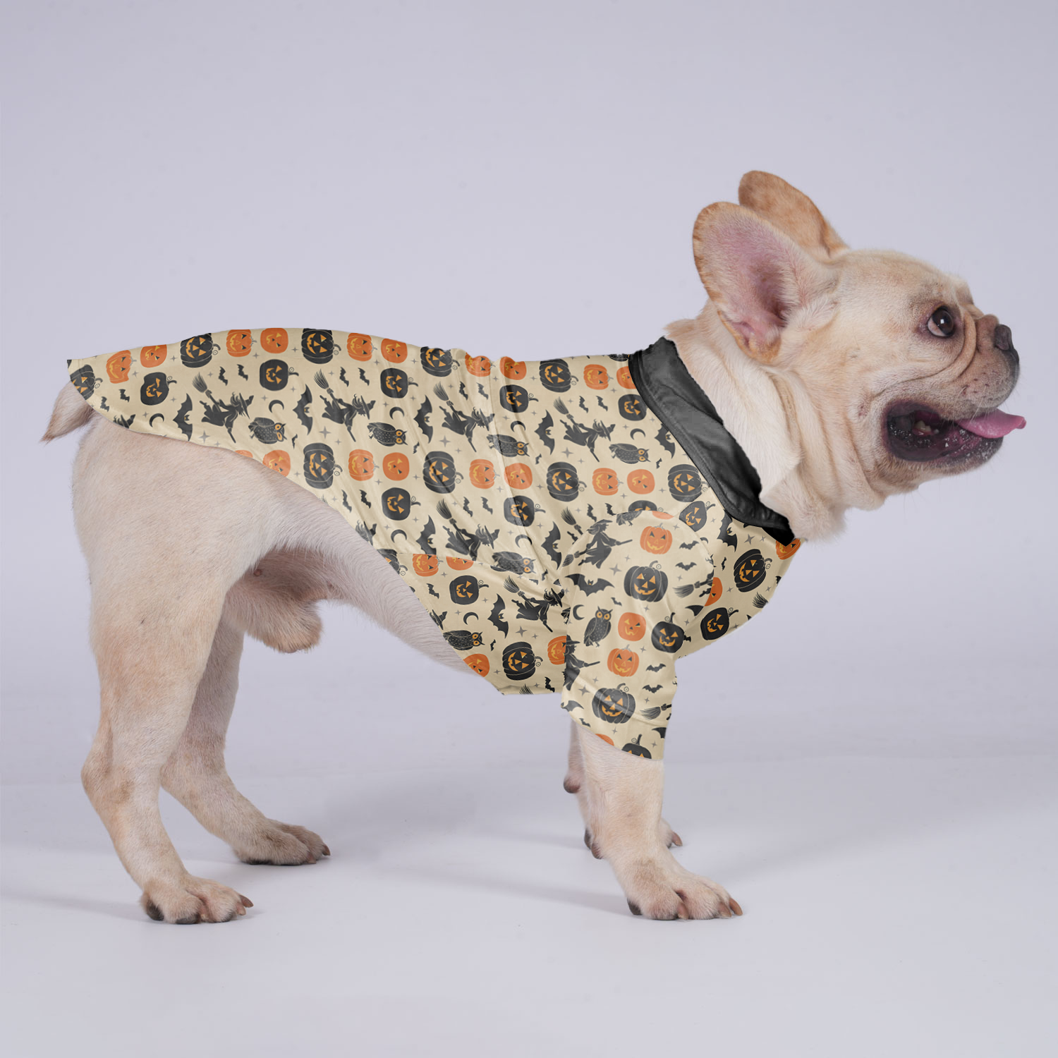 Buddy French Bulldog Dog Outfit for Brachycephalic Dogs-fadou