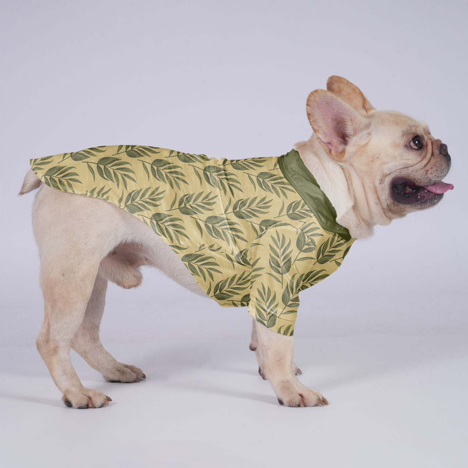 Oliver French Bulldog Cotton Tee for Brachycephalic Dogs-fadou