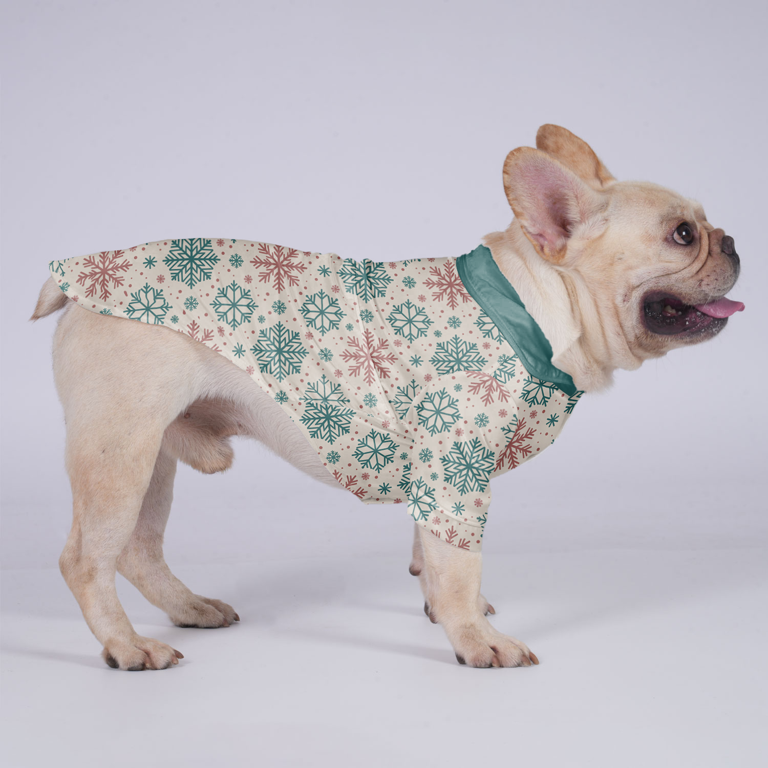 Cookie French Bulldog Cotton Tee for Outdoor Adventures-fadou