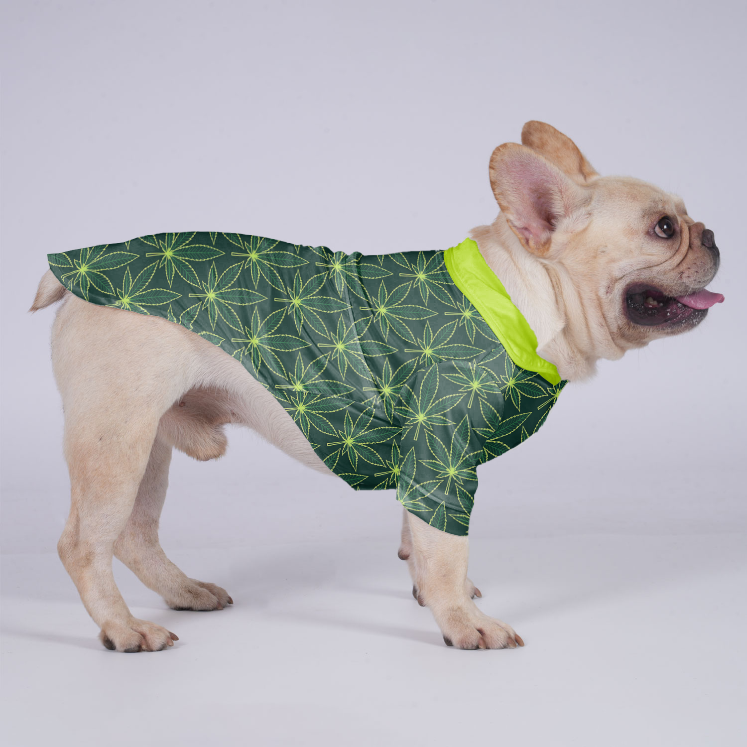 Willow French Bulldog Cotton Tee for Outdoor Adventures-fadou